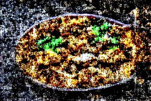 Paneer Konkan