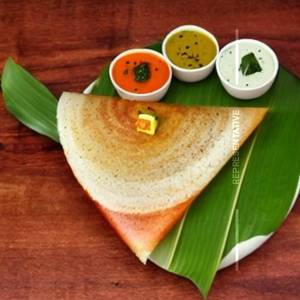 Ghee masala dosa