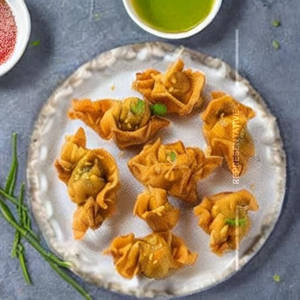 Chicken Fried Wonton