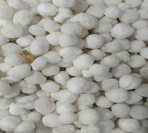 Sabudana 250gm