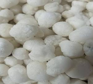 Sabudana 500gm