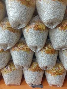 Bhel puda big