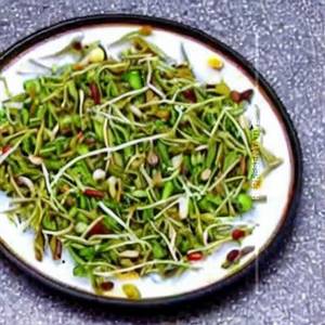 Shahi Sprouts