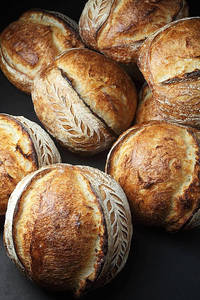 Sourdough Bread Plain