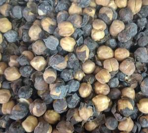 Chana big 1kg