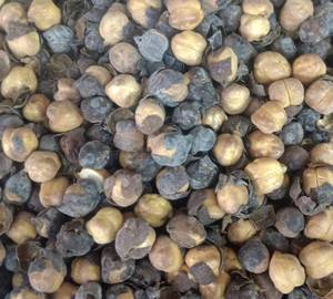 Chana big 500gm