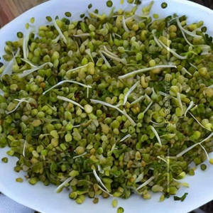 Sprouts Fry