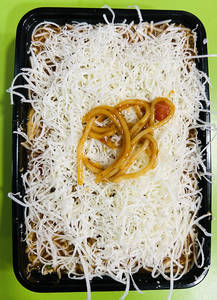 Mangolian Spaghetti Pasta