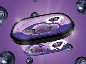 Blackcurrant Premium Ice Cream Tub 500ml