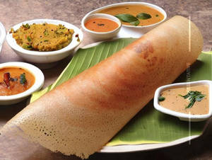 Rawa Plain Dosa