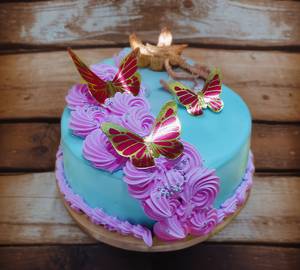 Blueberry cheese cake