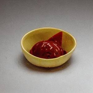 Sitaphal Scoop