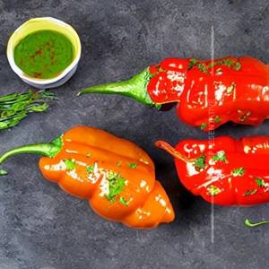Stuffed Capsicum