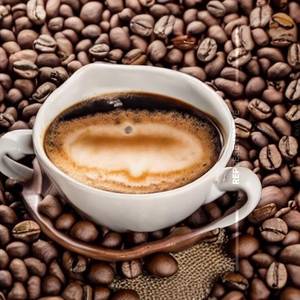 Hazelnut Cafe Fuel