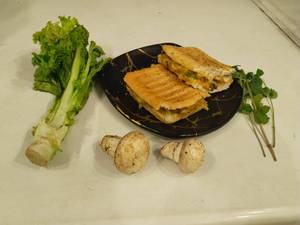 Mushroom Panini Sandwich