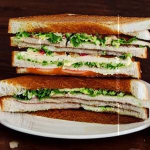 Special Karnavati Sandwich