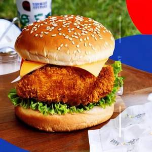 Chicken Overloaded