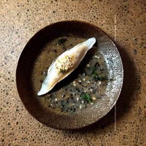 Fish Oyster