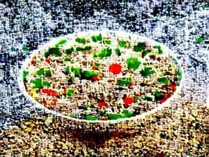 Veg Fried Rice