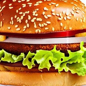 Cheese Burger  