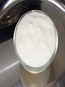 Plain Curd