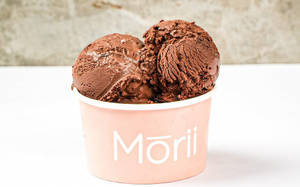 Chocolate Walnut Fudge Ice Cream