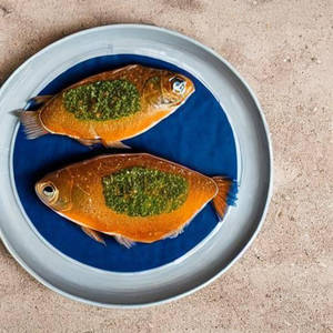 Apollo Fish