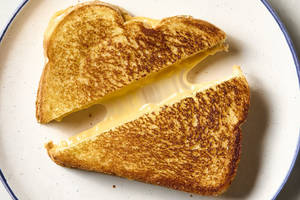 Cheese Sandwich