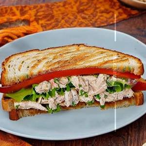 Chicken salad grilled Sandwich