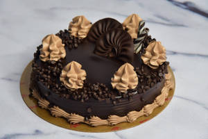 Sacher Delight (Medium)