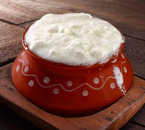 Plain Dahi