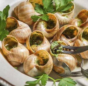 Snail Roast