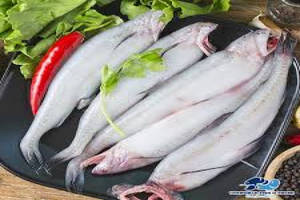 Bombil Koliwada(10 Pcs)