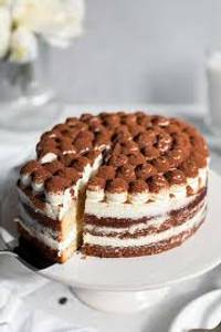 Special chocolate chips cake