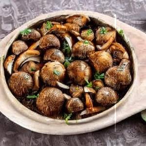 Mushroom Duplex