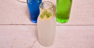 Virgin Mint Mojito