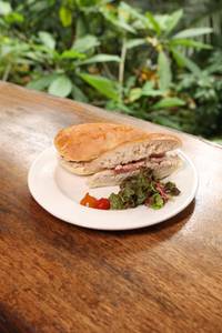 Tuna Sandwich