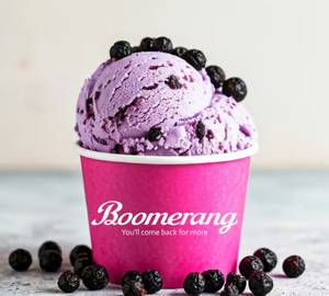 Blackcurrant Ice Cream