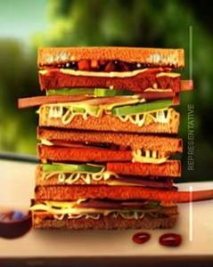 Tandoori Sandwich