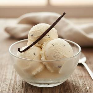 Vanilla Ice Cream [500 ml]