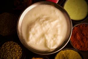 Plain Dahi