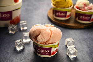 Gelato Bubble Gum - Italian Ice Cream