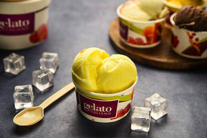 Gelato Butterscotch - Italian Ice Cream