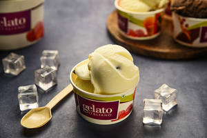 Gelato Vanilla Choco Chips - Italian Ice Cream