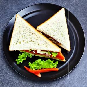 "Plain Sandwich "                                                      