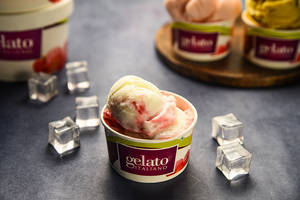 Gelato Yoghurt Wildberry - Italian Ice Cream
