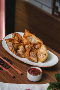Crispy Wonton Bites