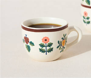 Kashmir Cup