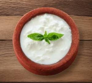 Plain Dahi
