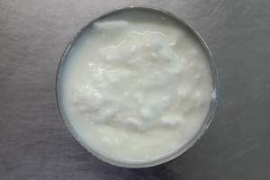 Plain Curd
